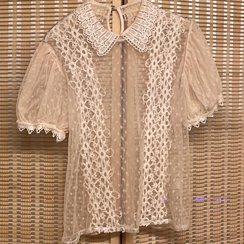Cute See thru blouse
